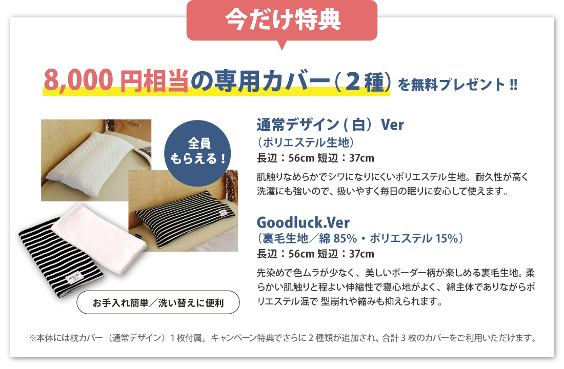 今だけ特典！8000円相当の専用カバー（2種）プレゼント！