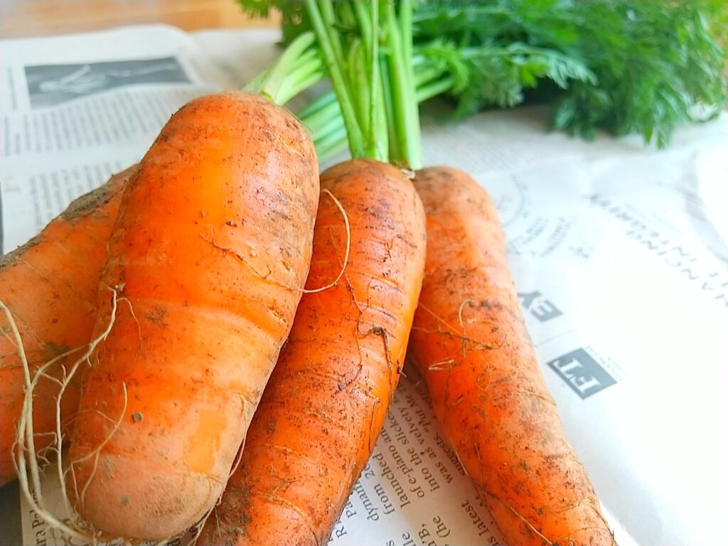 冬野菜の適切な保存方法